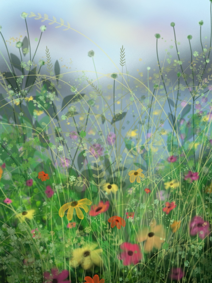 Wildflowers 