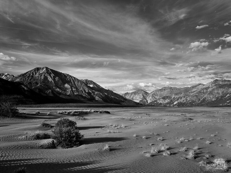 Yukons Kluane Lake Sand Dunes
