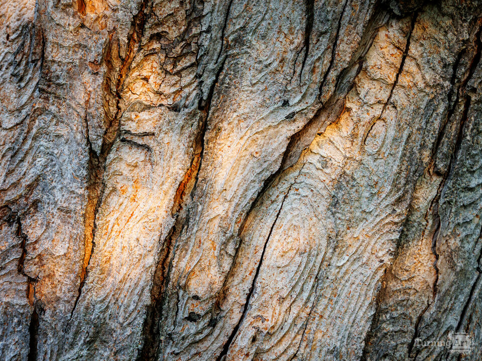Topographic Grain