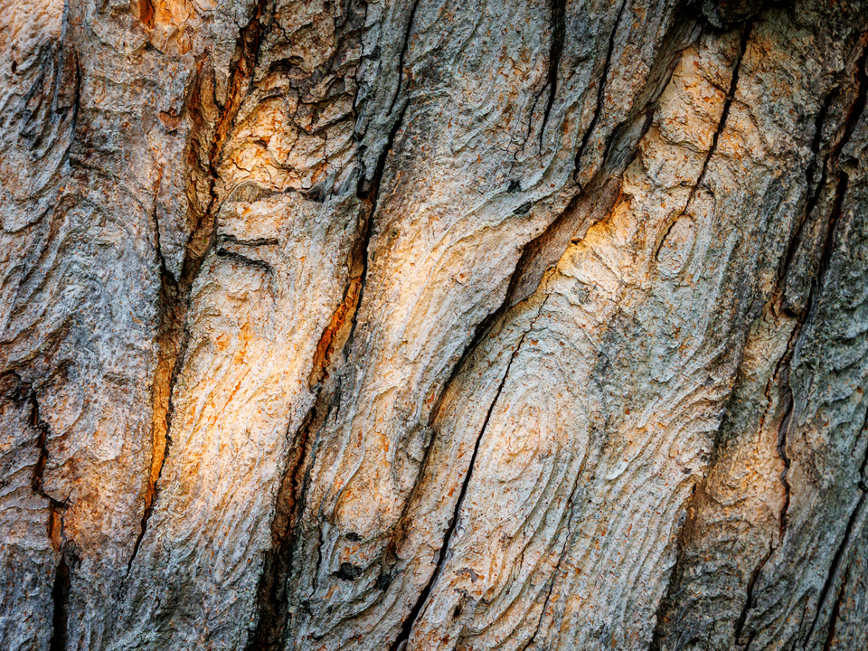 Topographic Grain