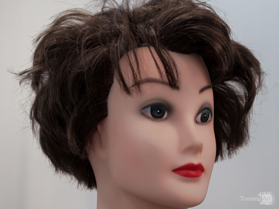 Mannequin Head in Salon