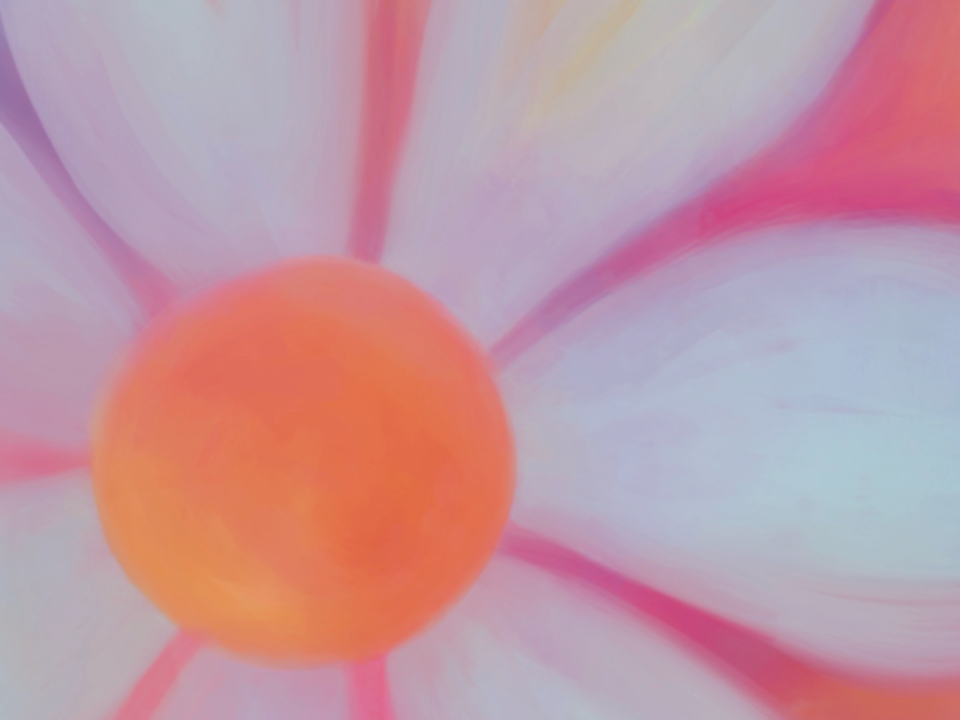 Bloom