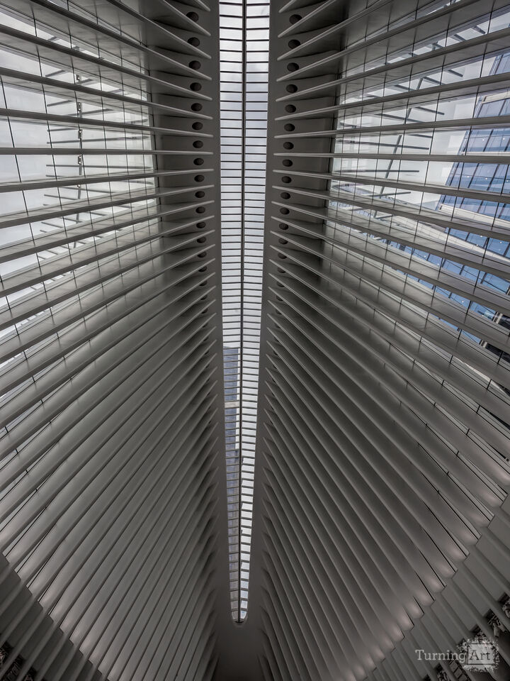 Oculus Center NYC Interior