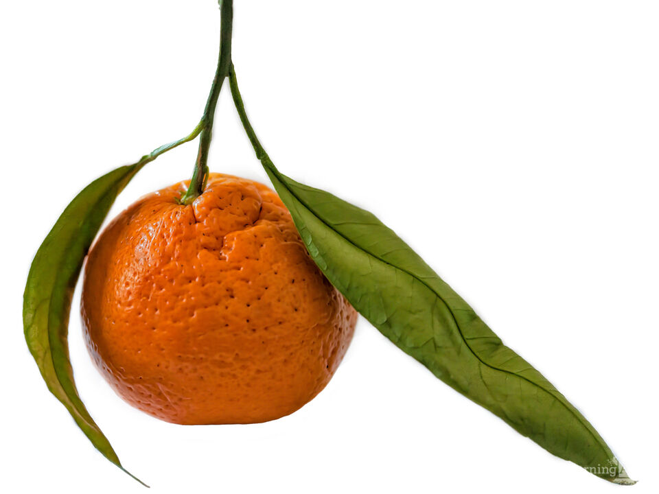 Tangerine