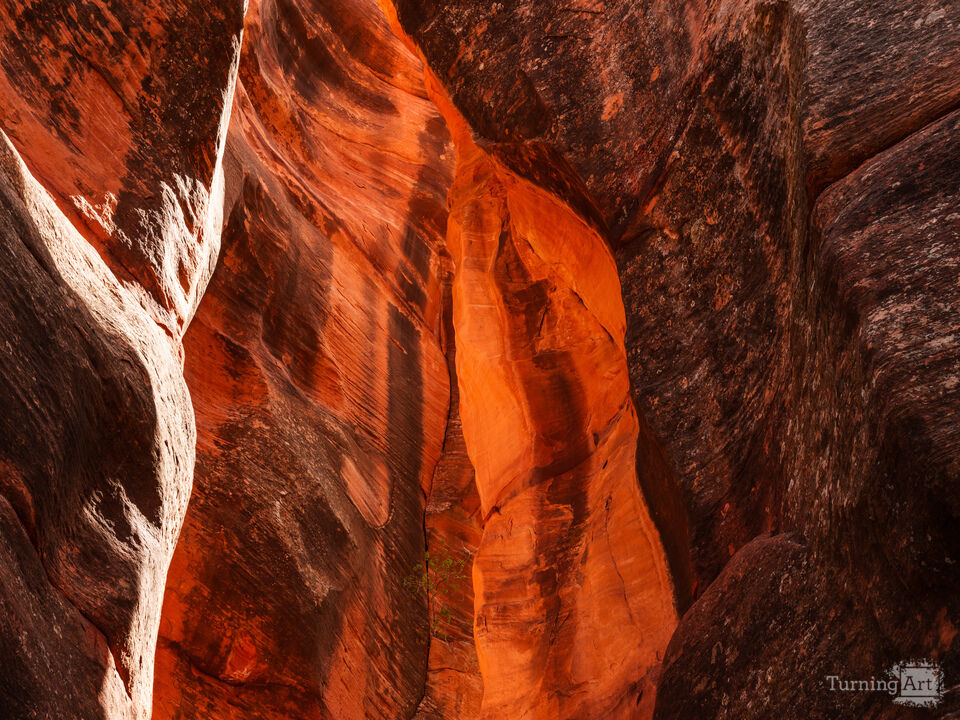 Spring Creek Slot Canyon Abstract