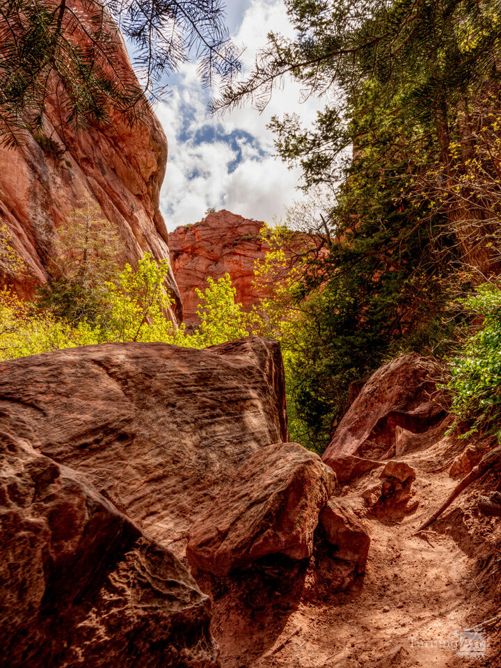 Hike Trail Surrounded By Canyon Walls