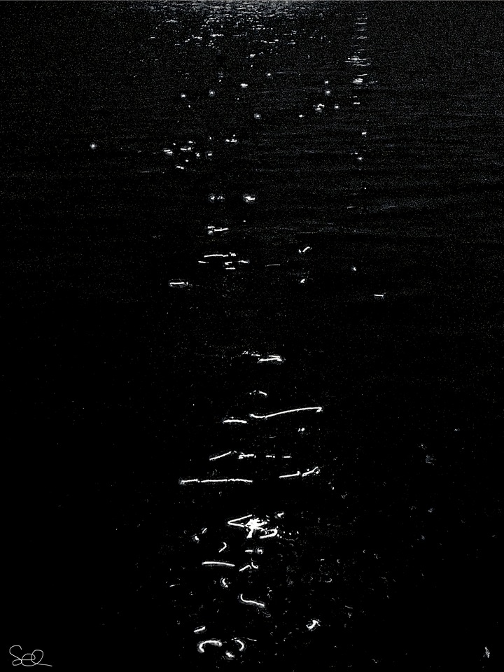 Sparkles On The Bay