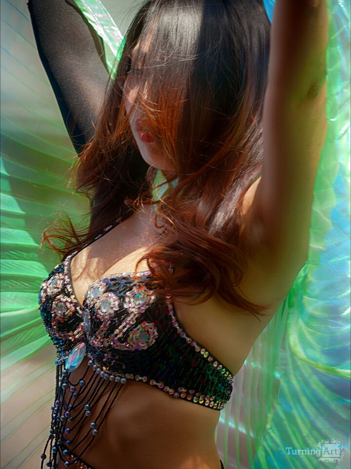 Belly Dancer