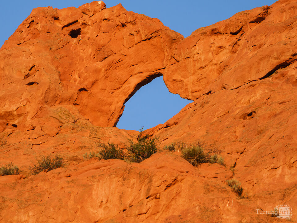 Camels Kiss Garden Of The Gods