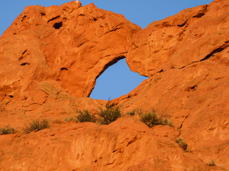 Camels Kiss Garden Of The Gods