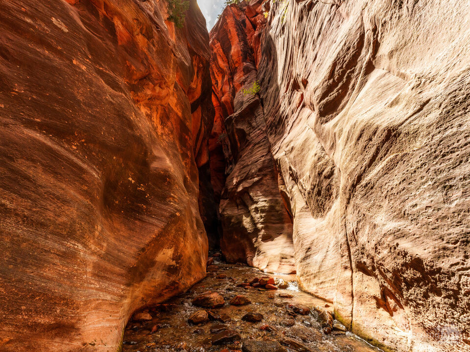Spring Creek Slot Canyon Utah