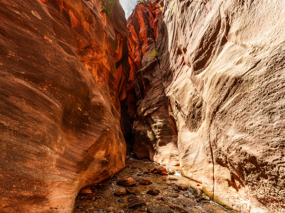 Spring Creek Slot Canyon Utah