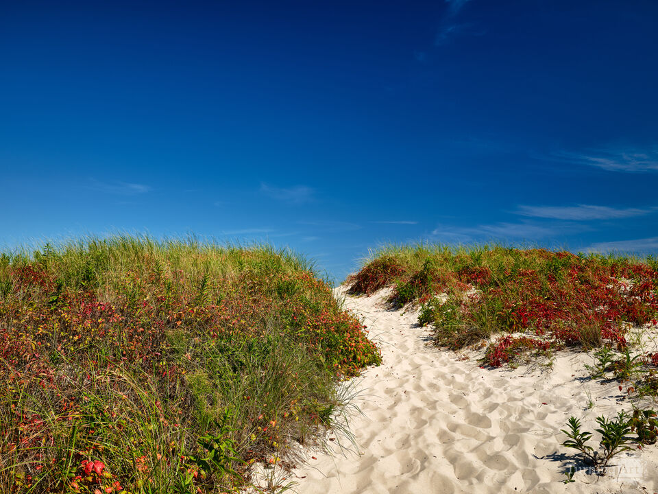 Beach Access Point No. 13