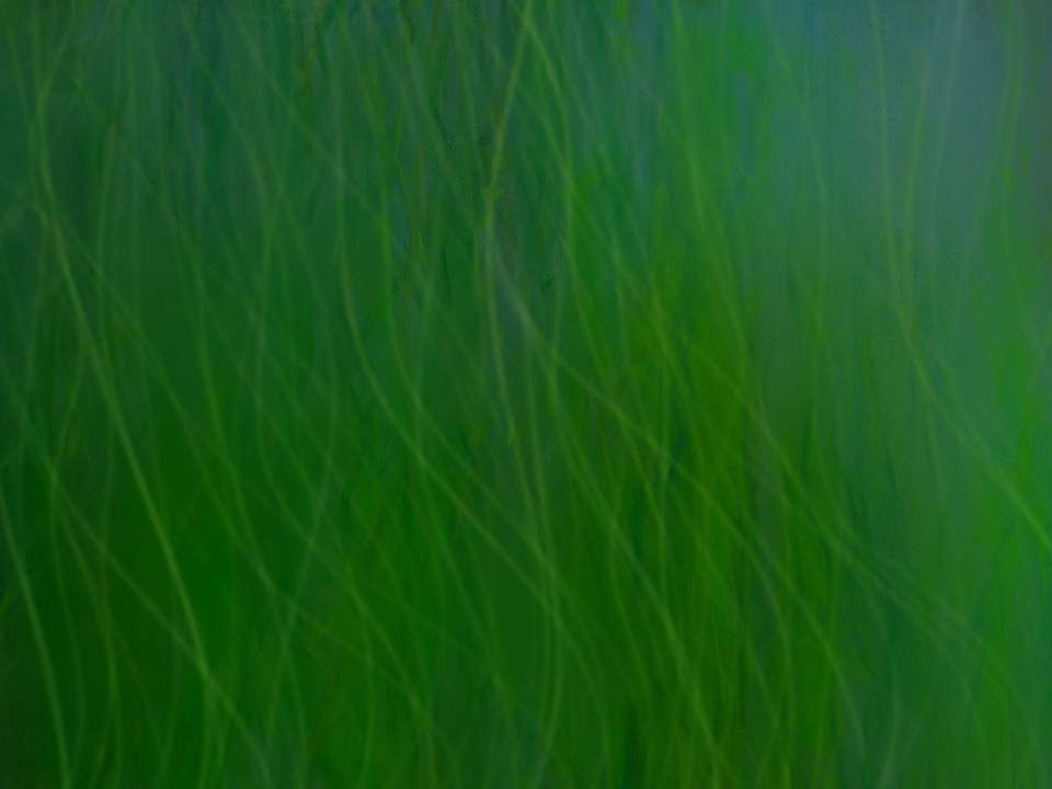 Underwater 