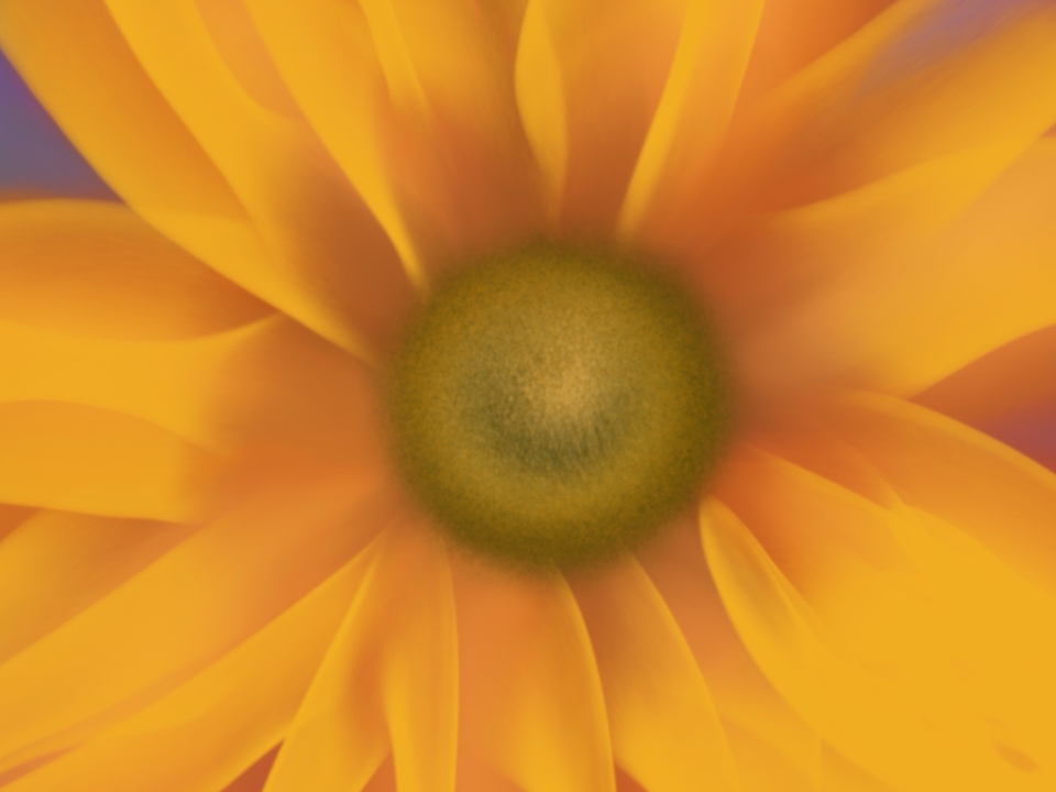 Sun-Kissed Bloom
