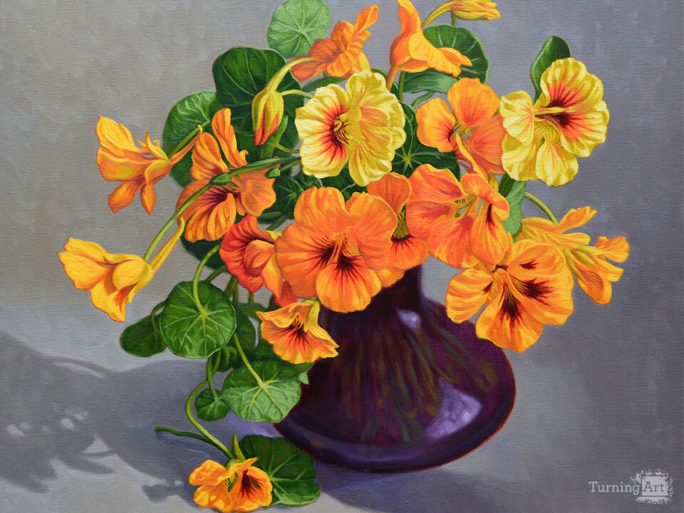 Nasturtiums in Purple Vase