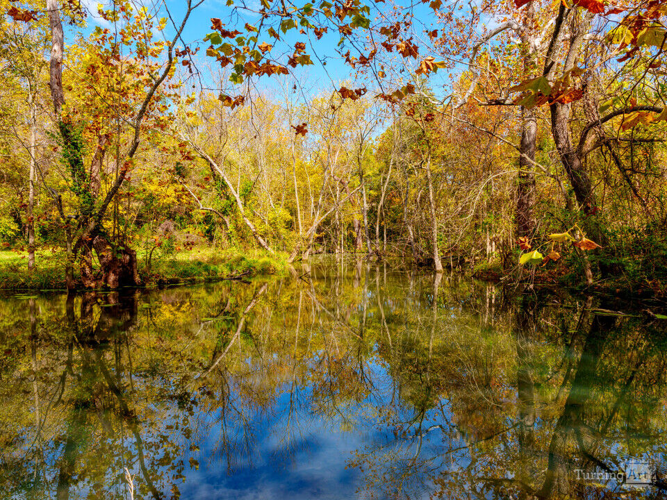 Ozarks Autumn Woody Reflections