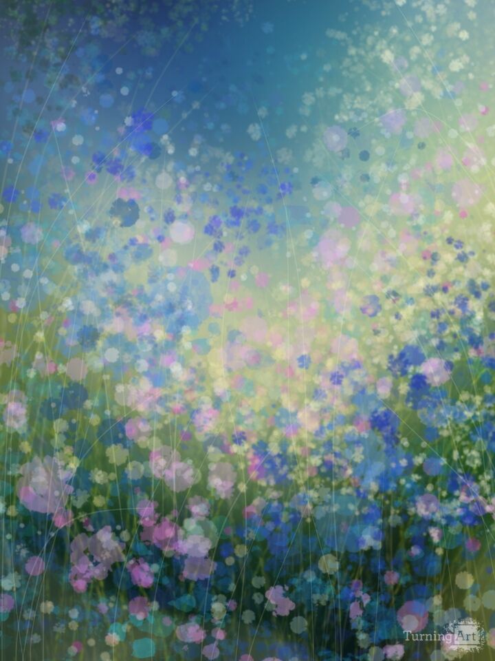 Meadow of Wildflowers