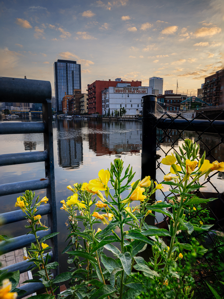 Third Ward Wild Bloom