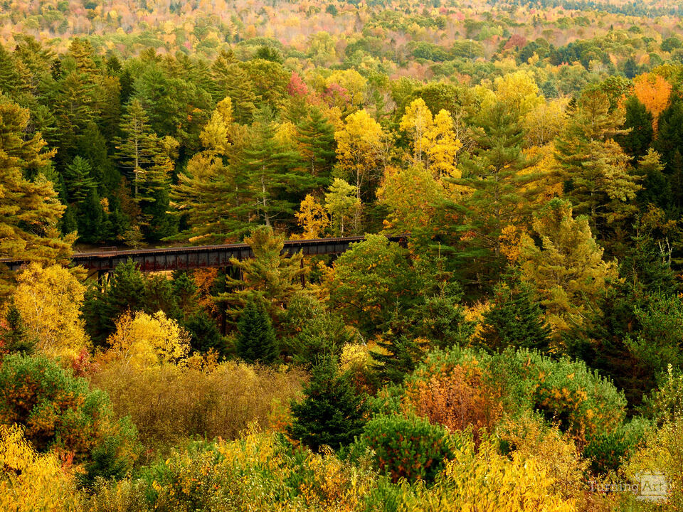 Old Trestle Railroad Bridge in Autumn Colors