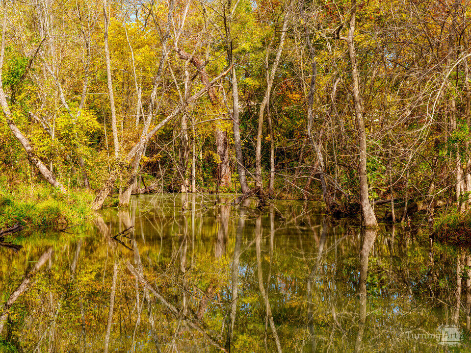 Autumn Mirrored Reflections Sarcoxie Spring