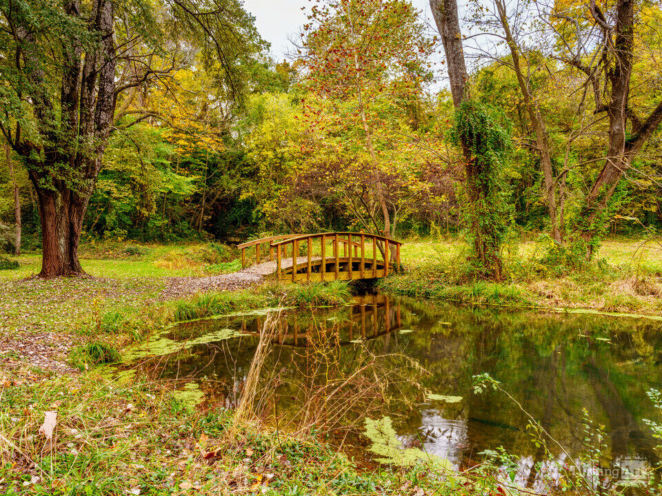 Fall At Sarcoxie MO Spring And Bridge