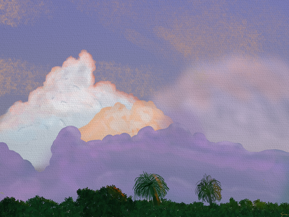 Sunset Clouds XXX