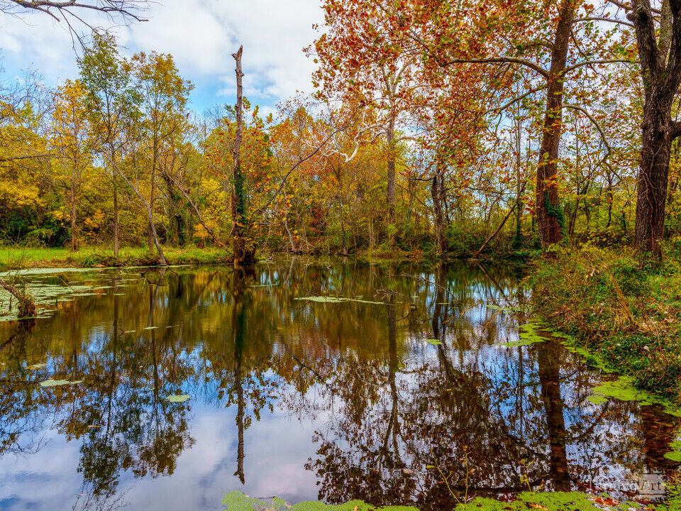 Sarcoxie Spring Mirror Of Autumn
