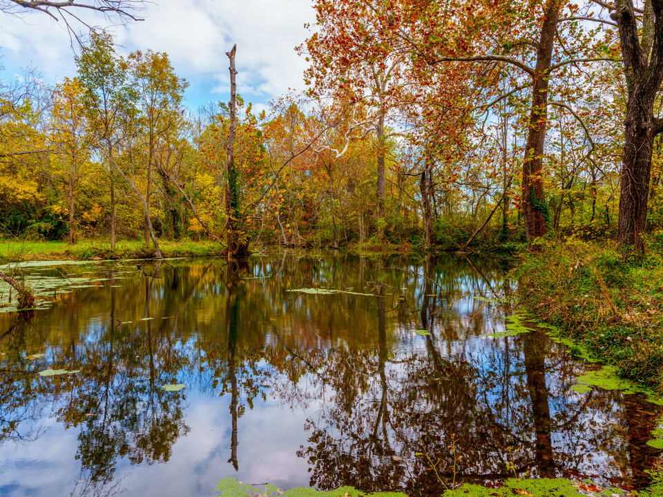 Sarcoxie Spring Mirror Of Autumn