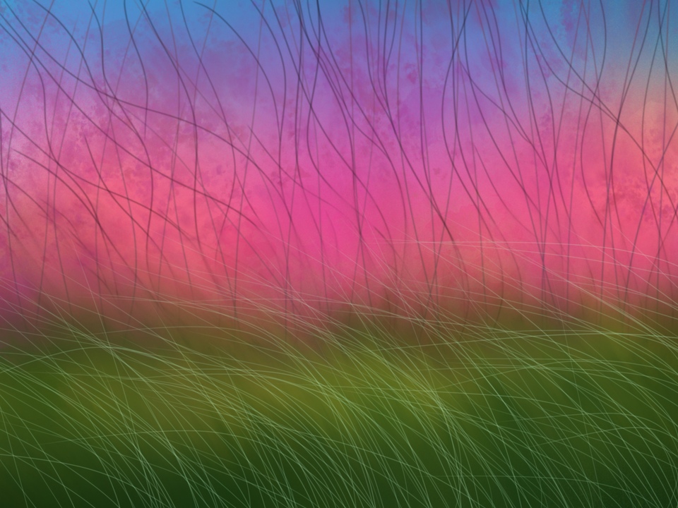  Branches