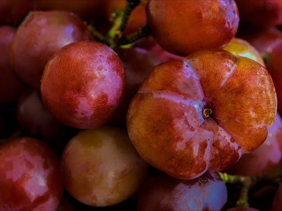 Grape Still Life