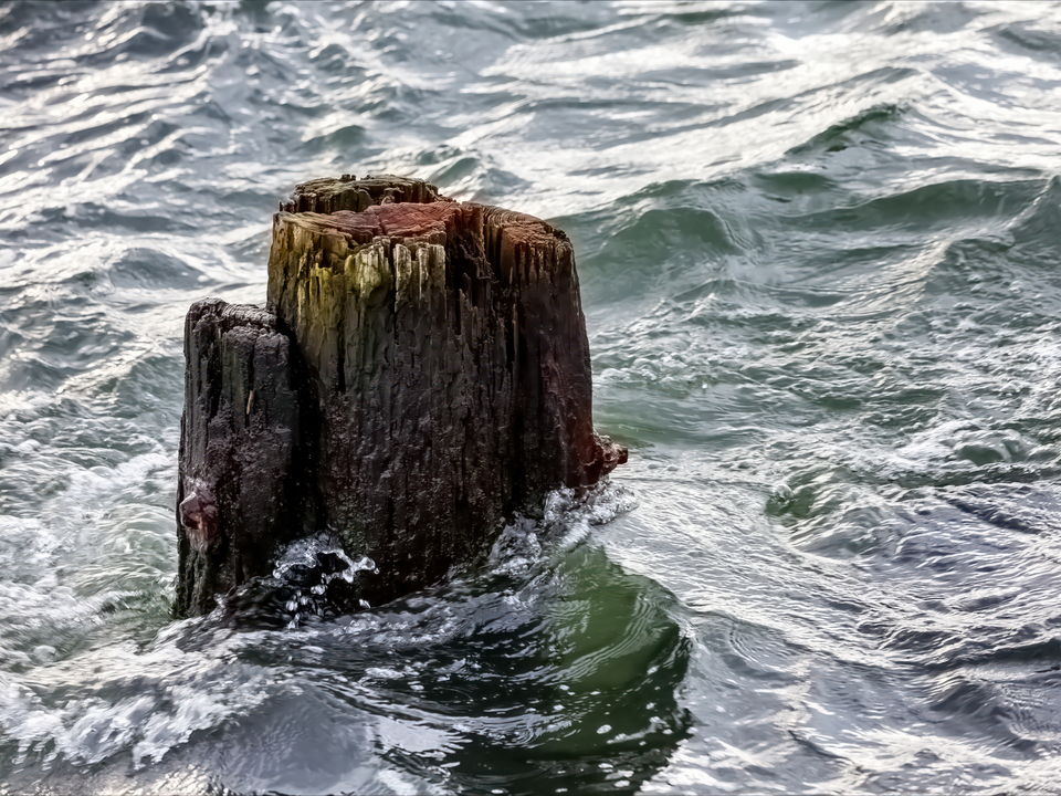 Wooden Piling and Waves