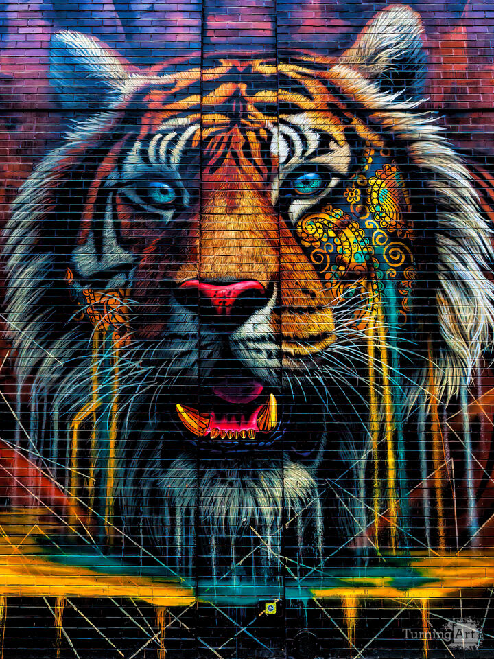 Tiger Portrait Street Art NYC