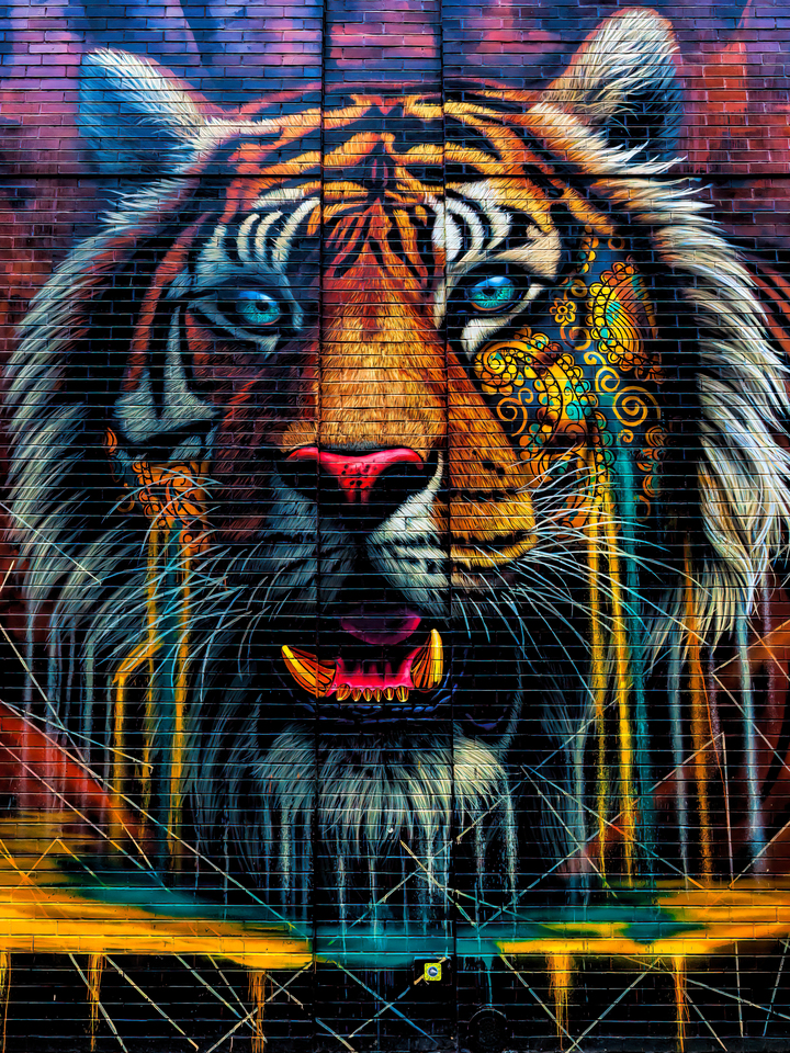 Tiger Portrait Street Art NYC