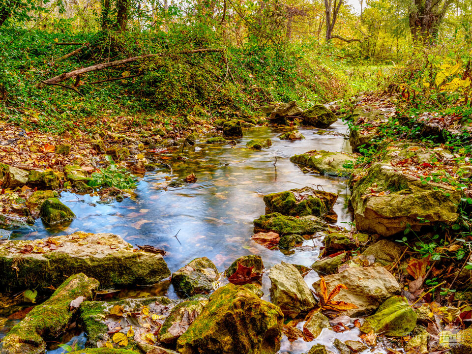 Sarcoxie Spring Stream