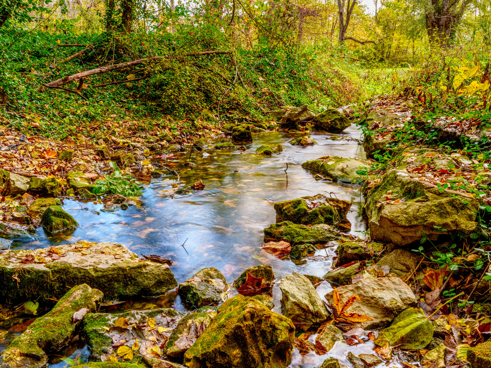 Sarcoxie Spring Stream