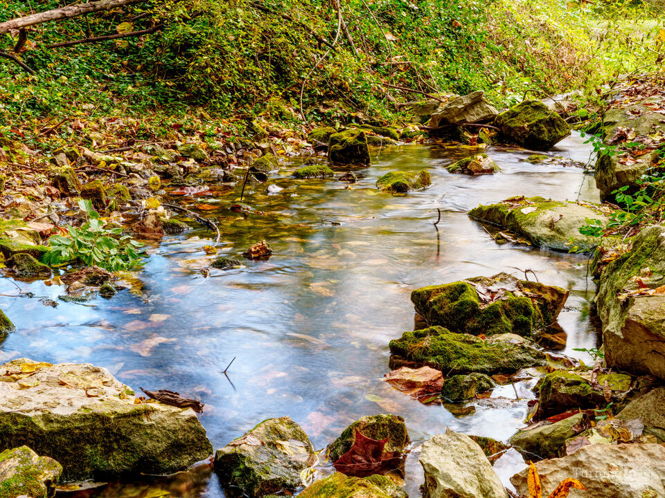 Sarcoxie Natural Spring In The Wild