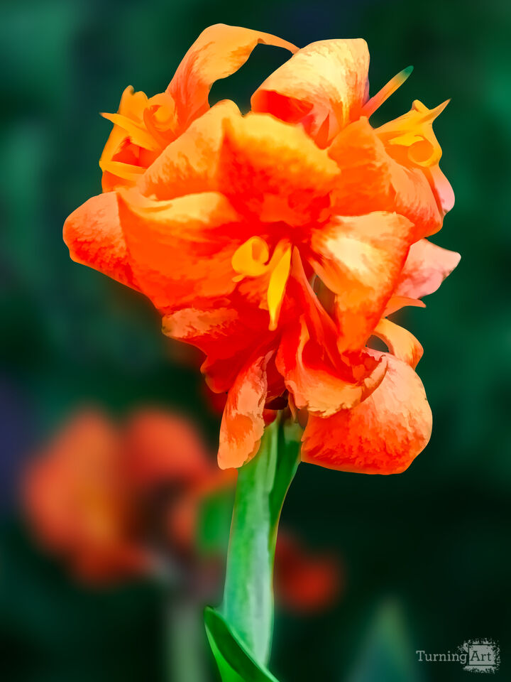 Orange and Green and Summer