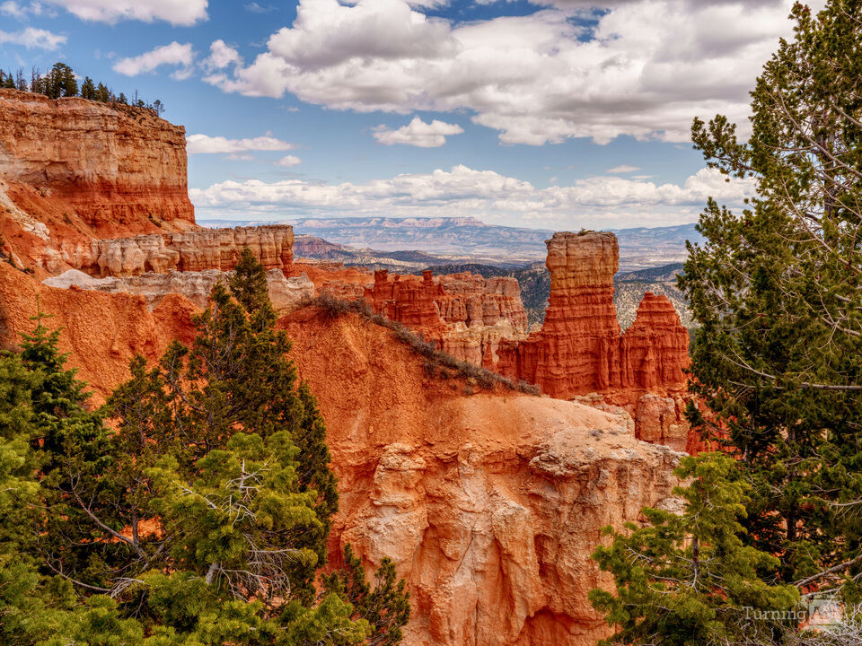 The Hunter Agua Canyon Bryce
