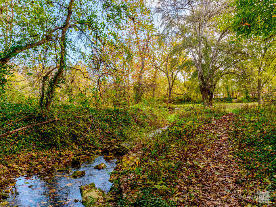 Trail By Sarcoxie Natural Spring Creek