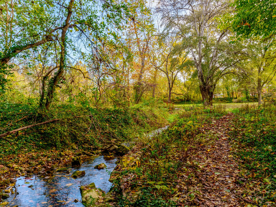 Trail By Sarcoxie Natural Spring Creek