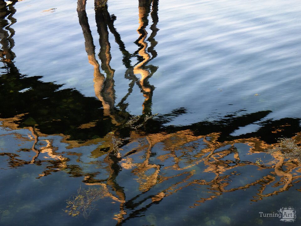 Colorful Dock Reflections, New Harbor Maine