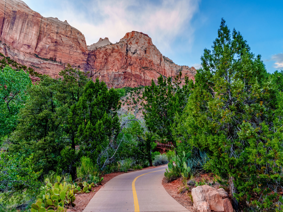 Watchman Trail Through Zion