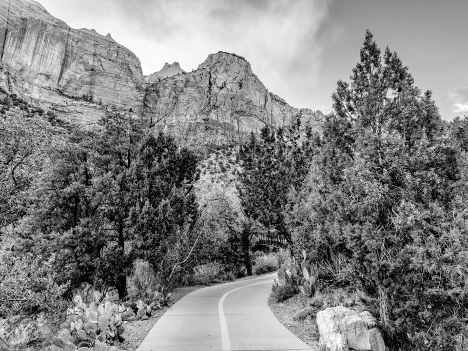 Watchman Trail Through Zion Grayscale