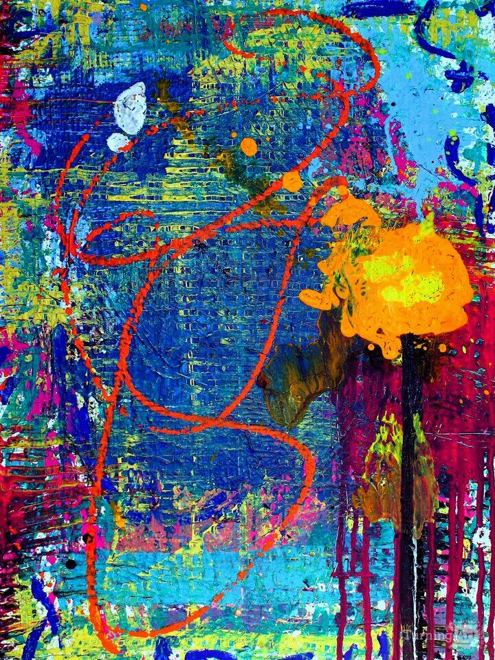 Solo - 2011