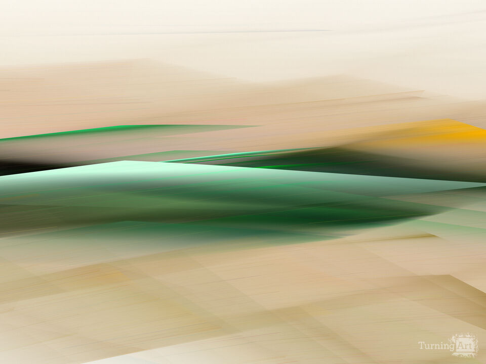 Shapes 15941