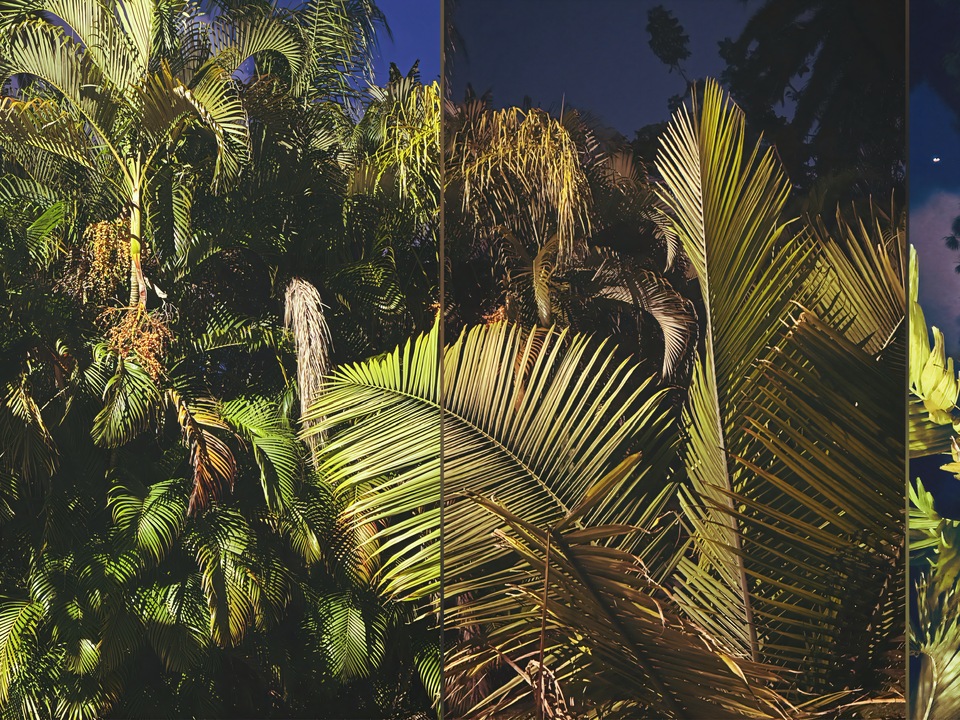 Sans Souci Nightscape