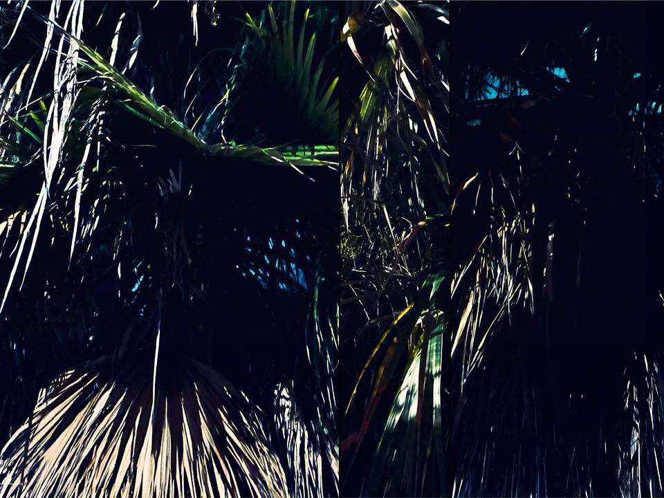 Sans Souci Nightscape II