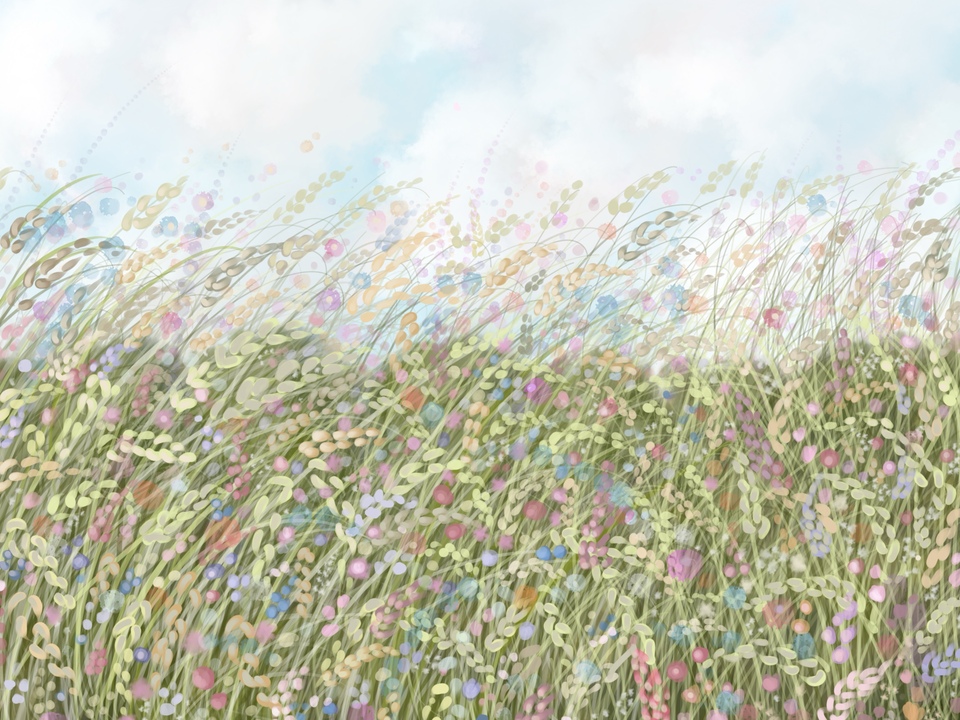 Wildflower Field 