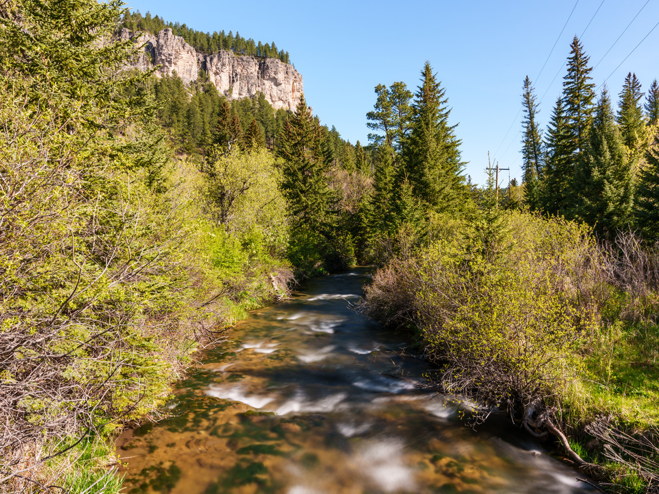 Spearfish Creek Morning Flow